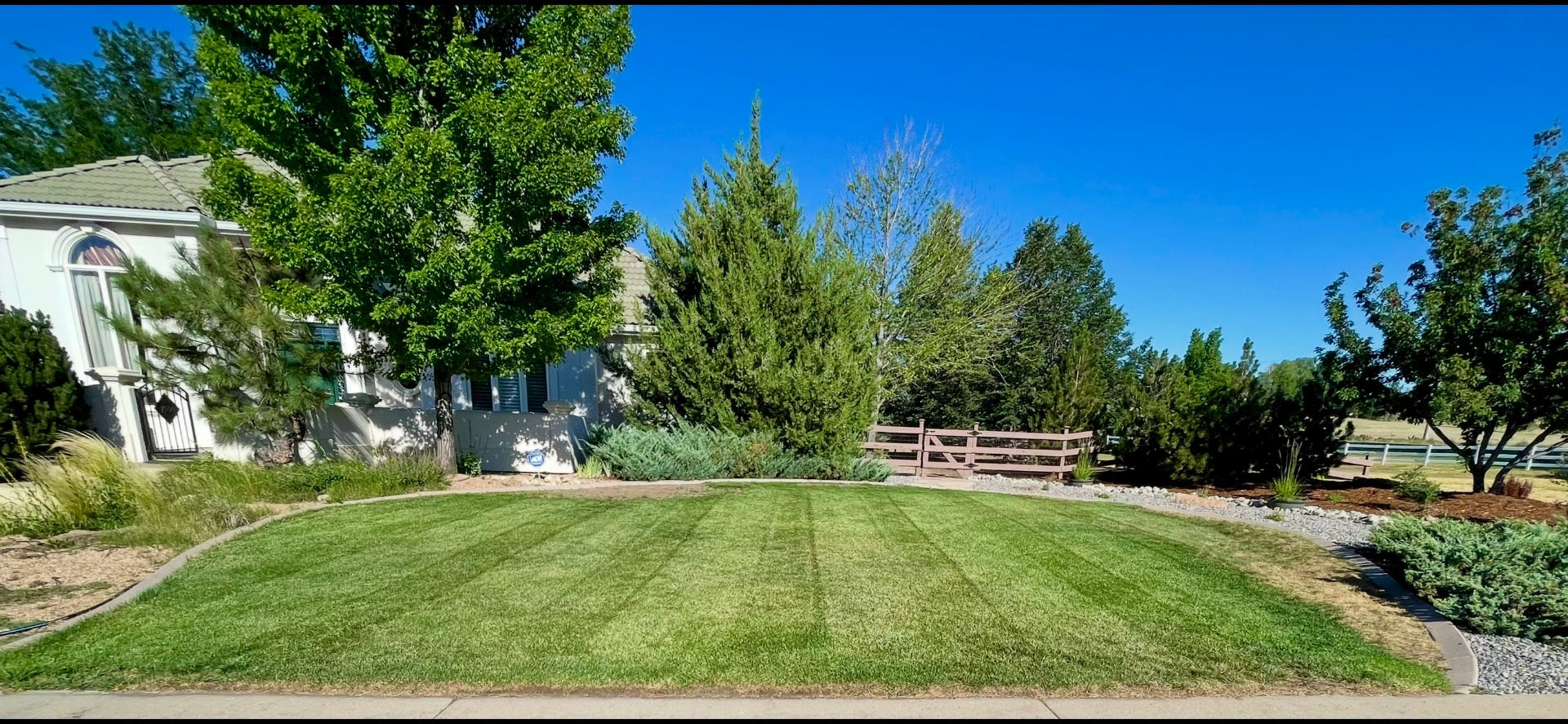 Freshly mowed, striped green lawn in the sunlight